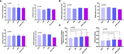 Abnormal vibration perception threshold alters the gait features in type 2 diabetes mellitus patients